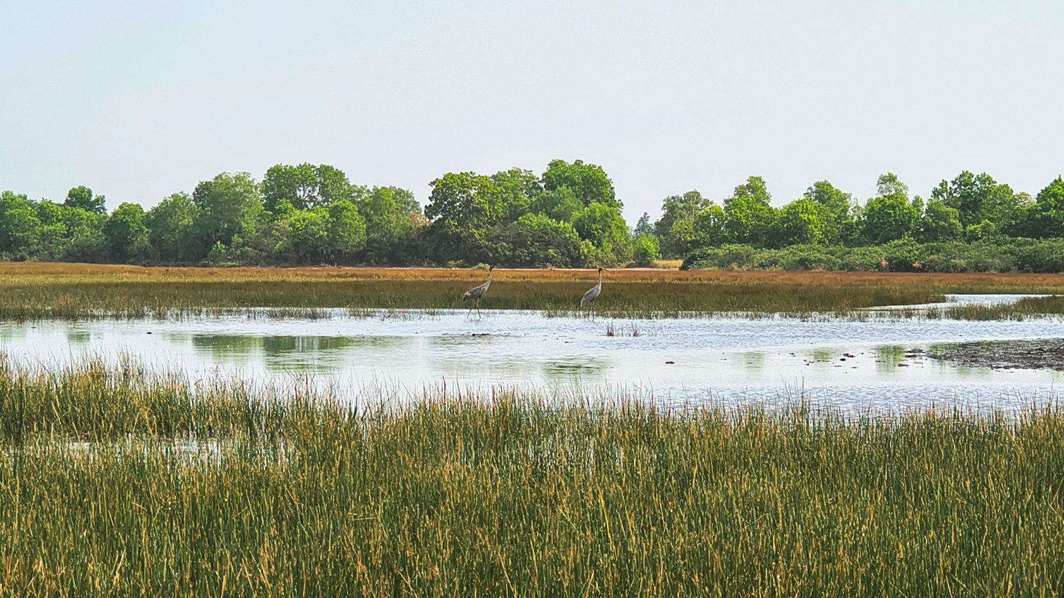 National workshop advances Ramsar designation for Cambodia’s Anlung Pring Wetland