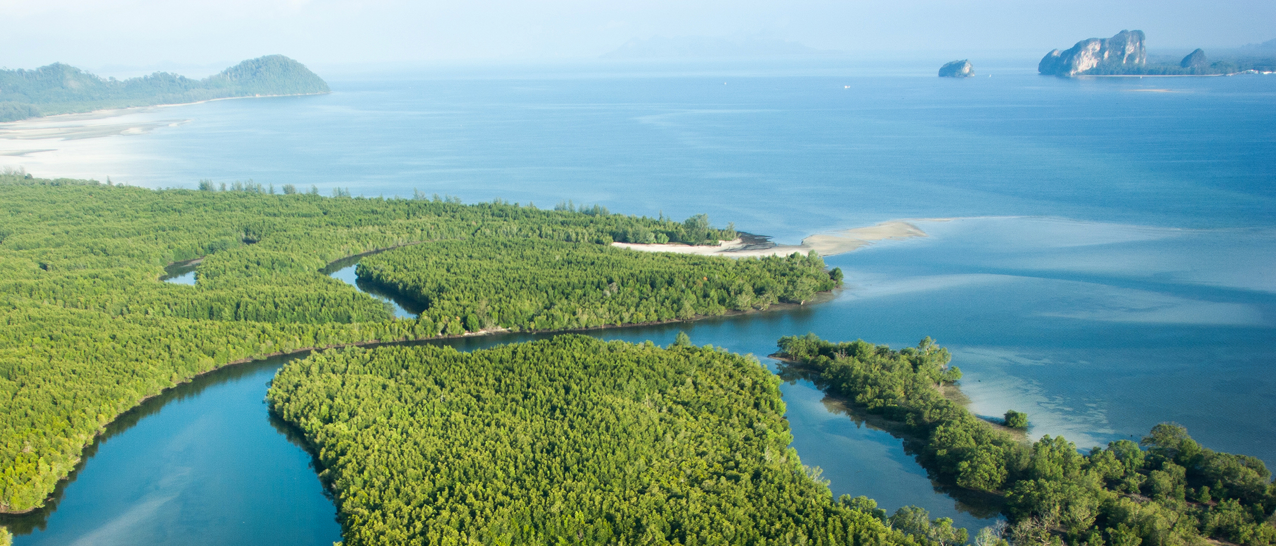 Know more about the SCS SAP