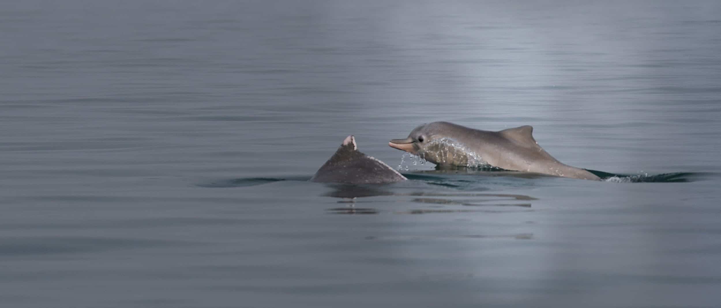 Local Action, Global Impact: Meet the 2025 SEA Grants Cohort