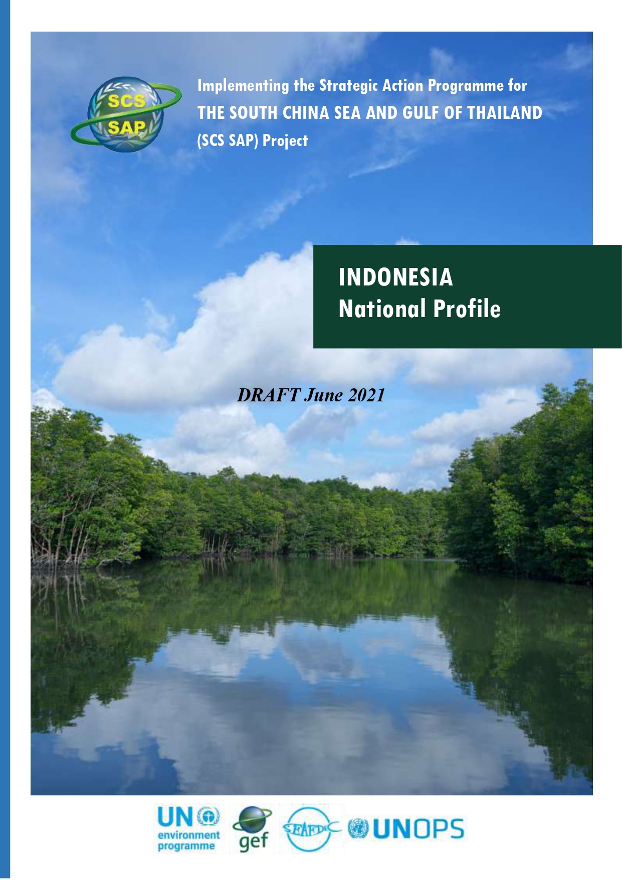 National Project Profile Indonesia